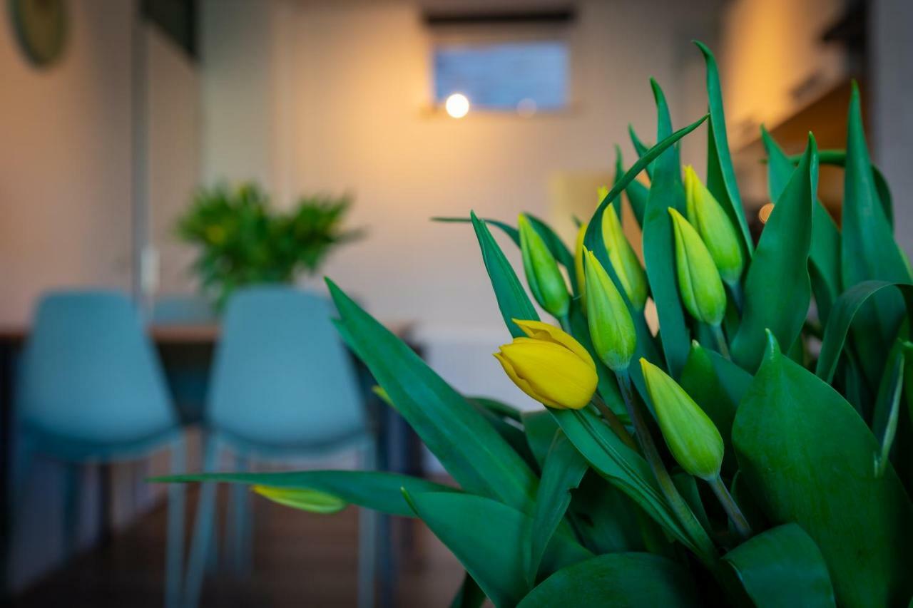 Casamare Apartment เอ็กมอนด์อานเซ ภายนอก รูปภาพ